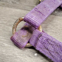 Thick Hvy Nylon Halter *fair, v.frayed, snags, stains, faded, rubs, threads
