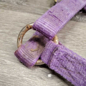 Thick Hvy Nylon Halter *fair, v.frayed, snags, stains, faded, rubs, threads