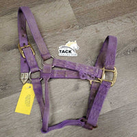 Thick Hvy Nylon Halter *fair, v.frayed, snags, stains, faded, rubs, threads
