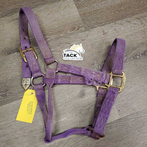 Thick Hvy Nylon Halter *fair, v.frayed, snags, stains, faded, rubs, threads
