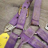 Thick Hvy Nylon Halter *fair, v.frayed, snags, stains, faded, rubs, threads
