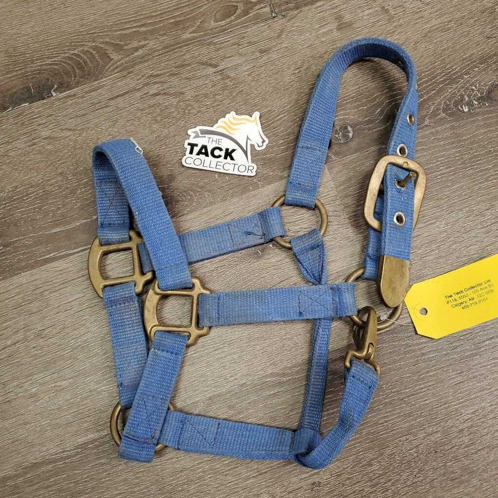 Thick Nylon Halter, snap, Hvy Brass Hardware *gc/fair, rubs, rough, shedding, faded, dirty, snagged holes