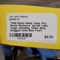 Thick Nylon Halter, snap, Hvy Brass Hardware *gc/fair, rubs, rough, shedding, faded, dirty, snagged holes

