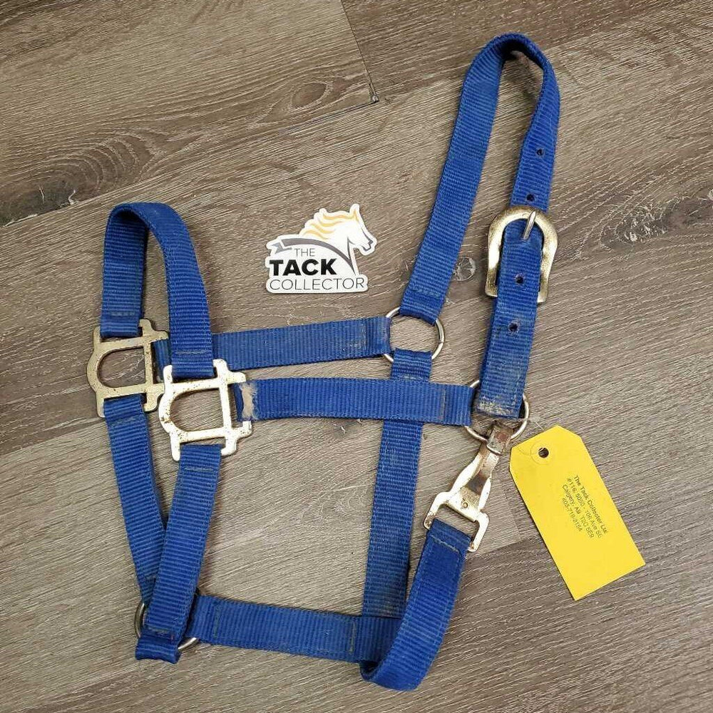 Thin Nylon Halter, spring snap *faiur, rough, shedding, rough, rust