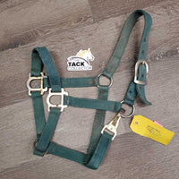 Stiff Nylon Halter, spring snap *fair, v.rusty, faded, stains, dirty