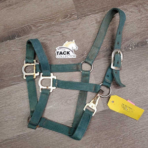 Stiff Nylon Halter, spring snap *fair, v.rusty, faded, stains, dirty