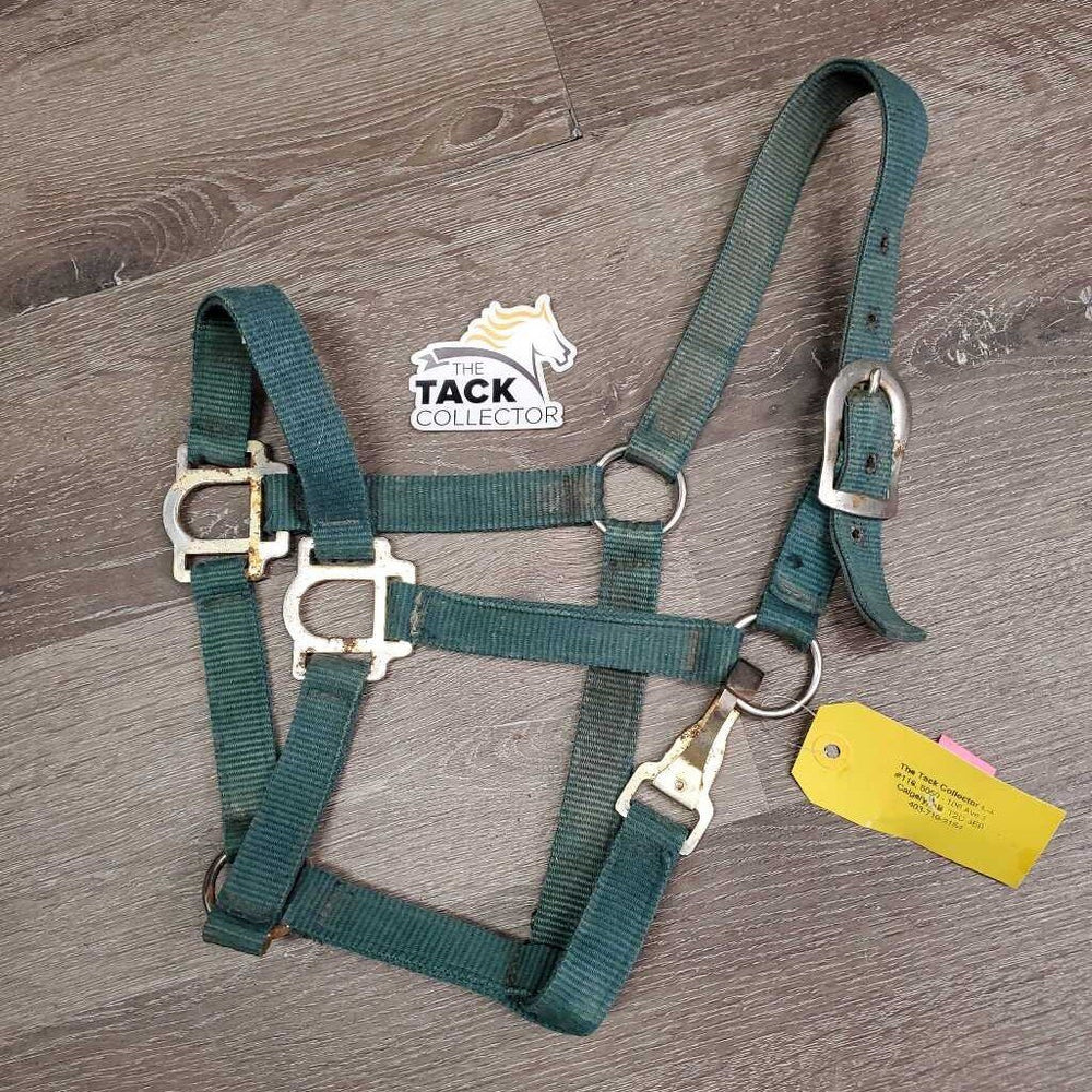 Stiff Nylon Halter, spring snap *fair, v.rusty, faded, stains, dirty