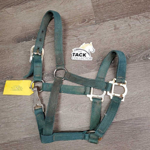 Stiff Nylon Halter, spring snap *fair, v.rusty, faded, stains, dirty