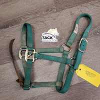 Narrow Thick Nylon Foal Halter, leather catch strap *gc/fair, v.dirty, faded, rubs, stains, frays, oxidized
