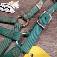 Narrow Thick Nylon Foal Halter, leather catch strap *gc/fair, v.dirty, faded, rubs, stains, frays, oxidized