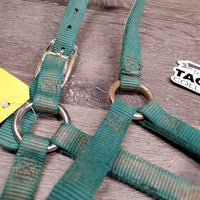 Narrow Thick Nylon Foal Halter, leather catch strap *gc/fair, v.dirty, faded, rubs, stains, frays, oxidized

