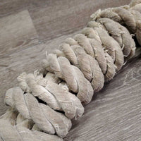 Thick Cotton Lead Rope, Brass Snap *gc, v.faded, frays, snags, rubs, dingy, stains
