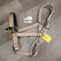 Thick Nylon Halter, adj, snap, tied on leather lined noseband *gc, clean, stains, dingy, mnr frayed holes, rubs, snags
