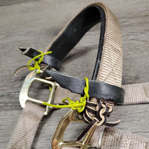 Thick Nylon Halter, adj, snap, tied on leather lined noseband *gc, clean, stains, dingy, mnr frayed holes, rubs, snags