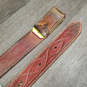 Hvy Leather Back Cinch, 2 Billets & Laces *gc/fair, clean, stains, v.scraped, sliced & cracked, chewed edges