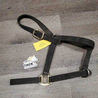 Slip Nose Nylon Halter *gc, v.faded, v.dirty, stained, edge rubs, frayed holes