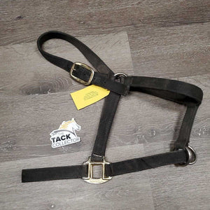 Slip Nose Nylon Halter *gc, v.faded, v.dirty, stained, edge rubs, frayed holes