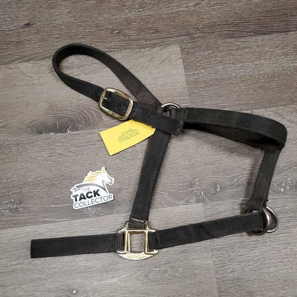 Slip Nose Nylon Halter *gc, v.faded, v.dirty, stained, edge rubs, frayed holes