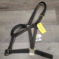 Slip Nose Nylon Halter *gc, v.faded, v.dirty, stained, edge rubs, frayed holes