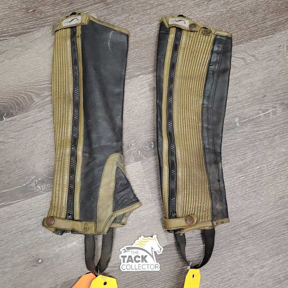 Pr Leather Half Chaps *gc/fair, older, rubs, faded, undone stitching, rusty, stains, dirty