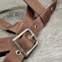 Flat Nylon Lungeing Cavesson, Nutcracker *gc, older, stains, dirt, mnr rust
