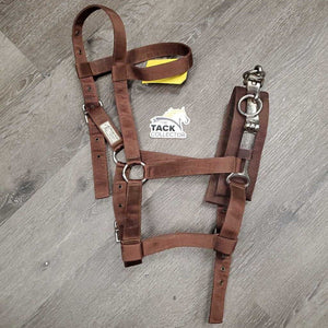 Flat Nylon Lungeing Cavesson, Nutcracker *gc, older, stains, dirt, mnr rust