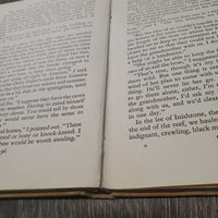 The Island of Horses by Eili's Dillion *fair, loose binding, yellowed, stamped, bent & rubbed corners
