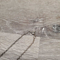 Horse Shoe Necklace *fair, discolored
