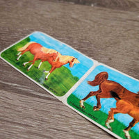 5 - Horse Stickers *new
