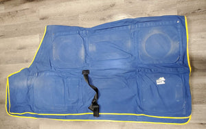Centurion Therapulse Therapy System: Blanket, Neck, 2 batteries, 1 charger, 2 controllers, 2 Cases, manual *WORKS, CHARGES, vgc, clean, cases: dirt, marker