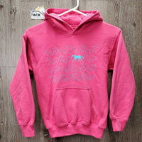JUNIORS Hvy Sweatshirt Hoodie *vgc, mnr pills, rubs, loose threads
