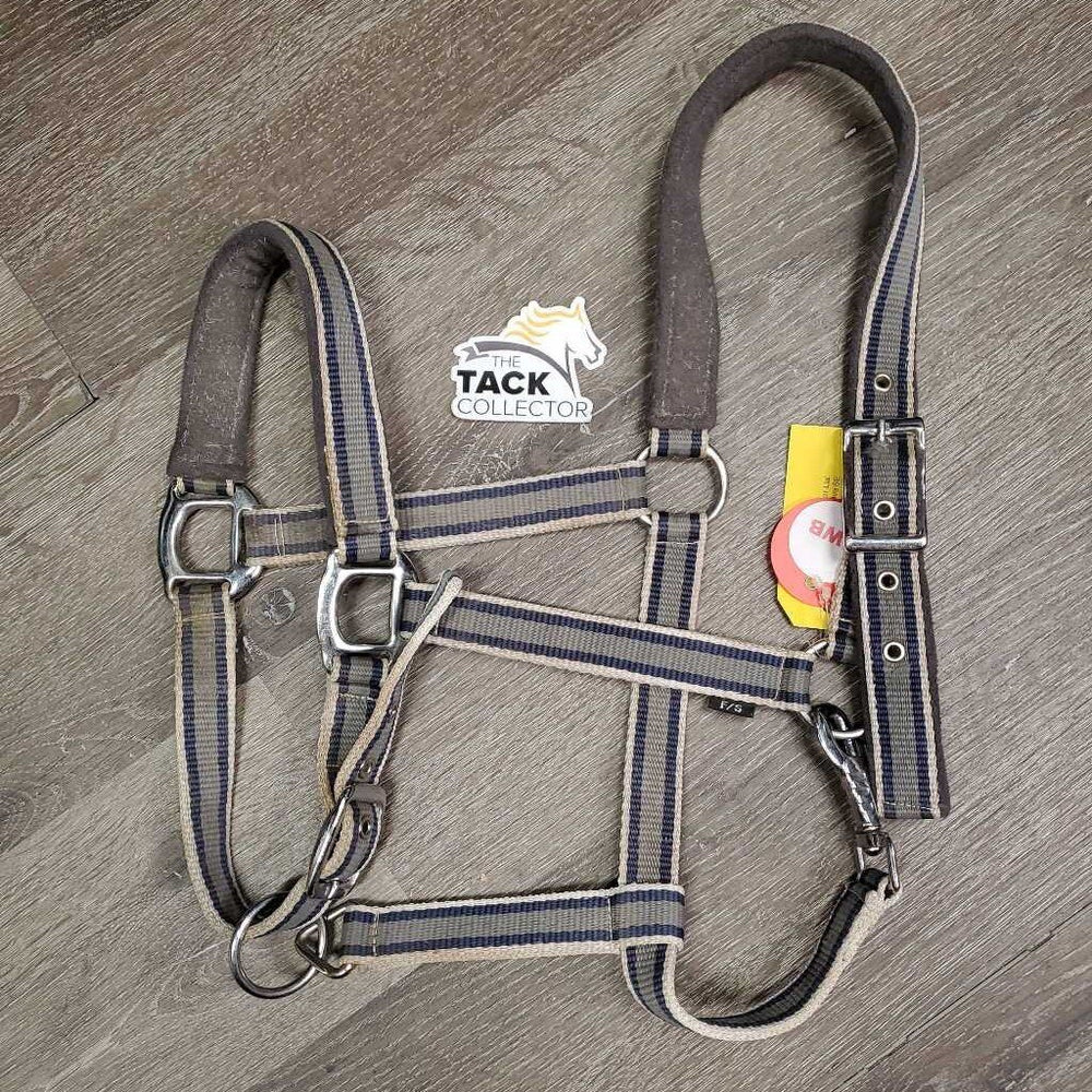 Nylon Halter, Fleece Lined, adj, snap *gc, stains, hairy, mnr dirt, dingy