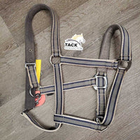 Nylon Halter, Fleece Lined, adj, snap *gc, stains, hairy, mnr dirt, dingy
