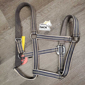 Nylon Halter, Fleece Lined, adj, snap *gc, stains, hairy, mnr dirt, dingy