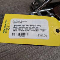 Sm Anatomical Belly Girth, carabiner, x2 els *gc, v.scraped, rubs, dirty, hairy seams, stiff
