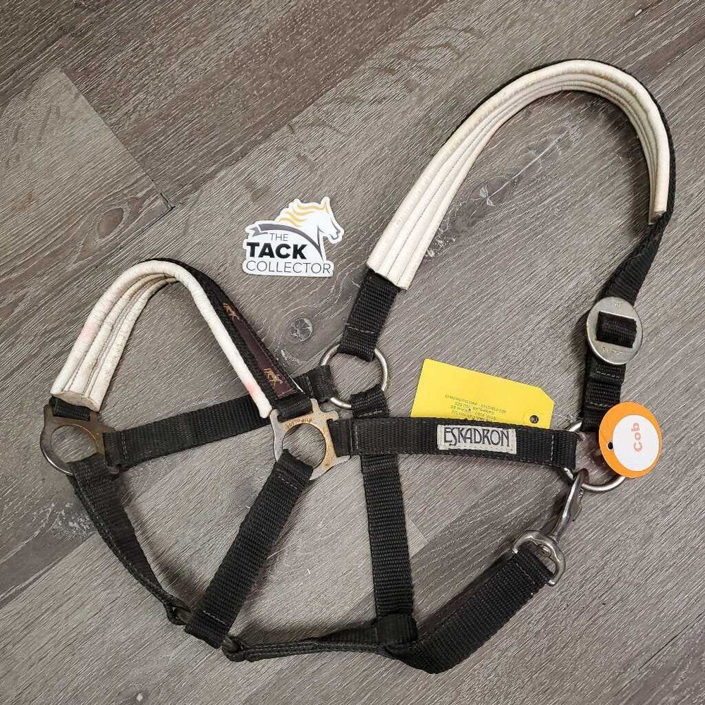 Padded Nylon Halter, snap *gc, older, clean, faded, dirty, stain, dings, faded, edges rubs, rust