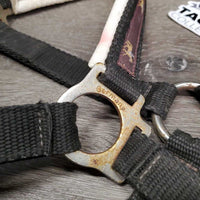 Padded Nylon Halter, snap *gc, older, clean, faded, dirty, stain, dings, faded, edges rubs, rust

