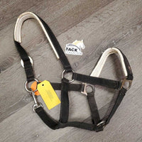 Padded Nylon Halter, snap *gc, older, clean, faded, dirty, stain, dings, faded, edges rubs, rust