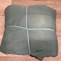 Closed Front Lt Stable Blanket, 0 legs/tail *gc, older, faded, hair, threads, stains
