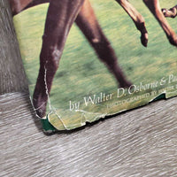 The Treasury of Horses by Walter Osborne *ripped cover, scraped edges
