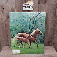 All Color World of Horses by Peter Churchill *faded, mnr rubs, slices & bent
