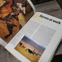 All Color World of Horses by Peter Churchill *faded, mnr rubs, slices & bent
