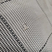 Hard Mesh Fly Mask, 0 Ears *gc, v. dirty, hair, mnr stains, clumpy, holes, snags

