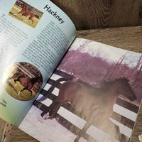 Crazy for Ponies by K.Briggs & S.Hamilton *mnr stains
