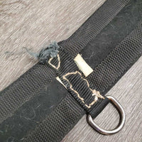 Nylon Web Girth, D Ring *fair, hairy, dirty, missing D Ring
