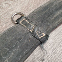 Nylon Web Girth, D Ring *fair, hairy, dirty, missing D Ring
