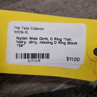 Nylon Web Girth, D Ring *fair, hairy, dirty, missing D Ring
