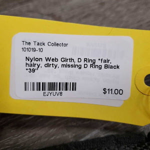 Nylon Web Girth, D Ring *fair, hairy, dirty, missing D Ring