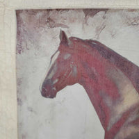 Canvas Horse Print *gc, warped