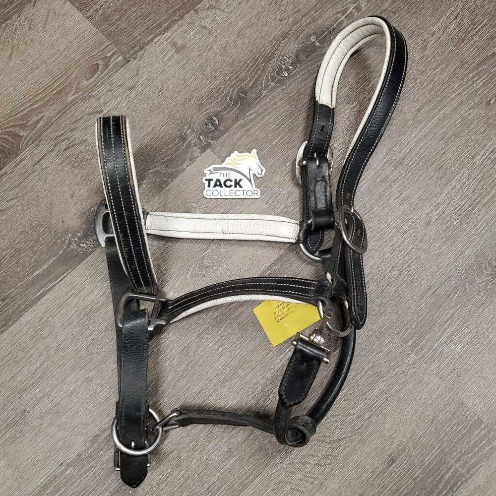 Padded Soft Leather Halter, adj, snap *gc/vgc, clean & mnr dirt?dust, rubs, scraped & peeled edges, creases, dry, rust?